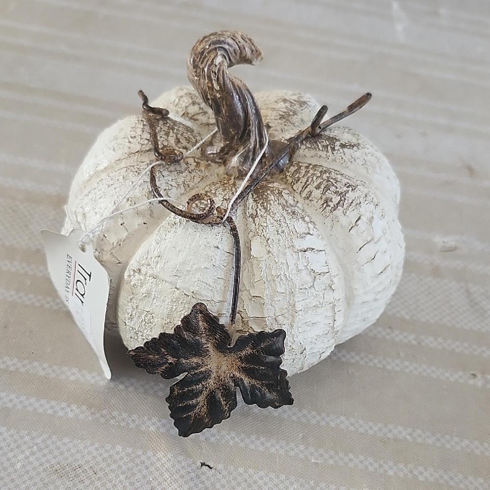 TAG Rustic Cream Pumpkin Decor